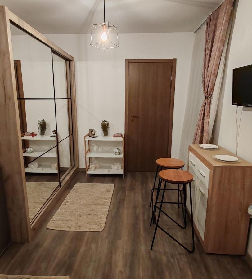 Studio Grigio Apartment Sibiu Exterior photo