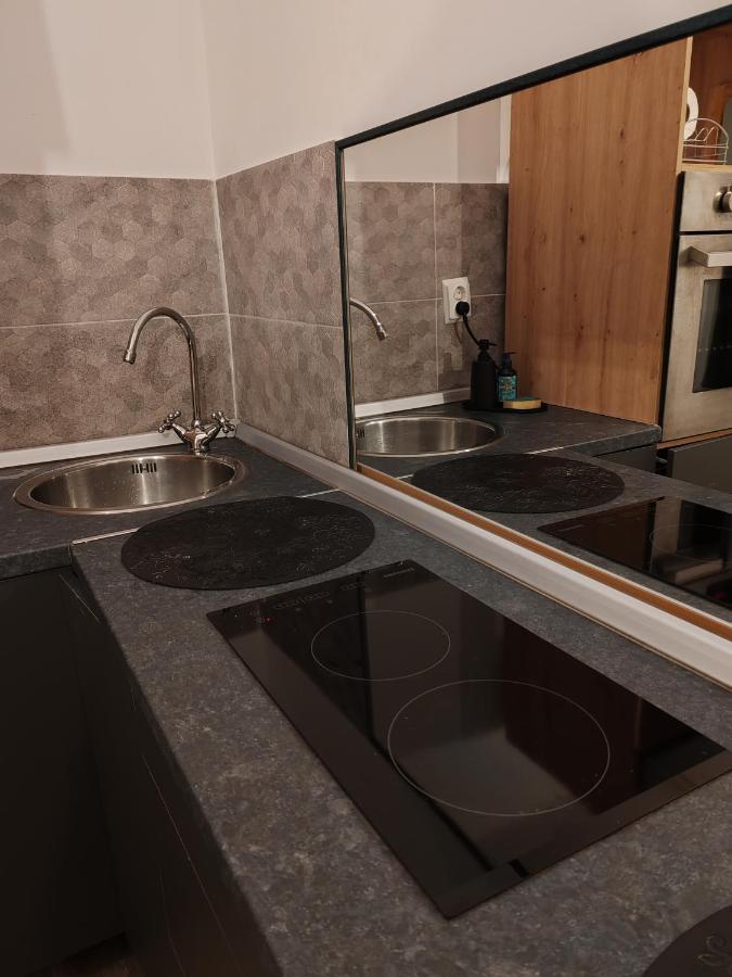Studio Grigio Apartment Sibiu Exterior photo